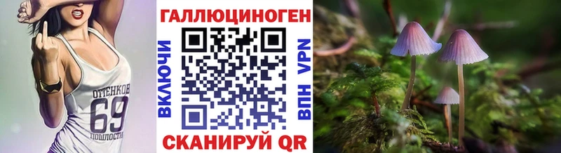 кракен зеркало  Малоярославец  Галлюциногенные грибы ЛСД 